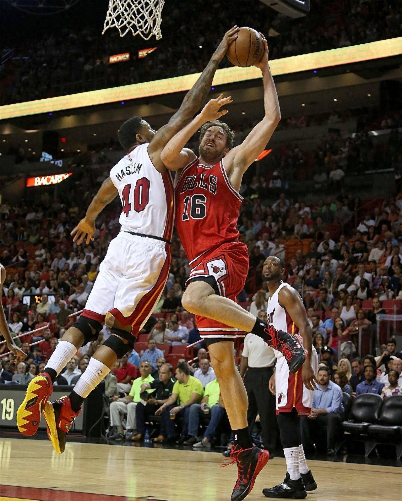 车手巡游的 车手巡游的